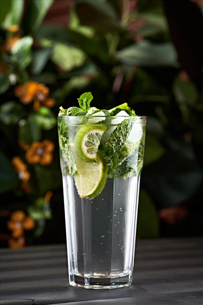 Мохито 1л 00355 - фото 173