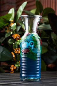 Голубая лагуна 00084