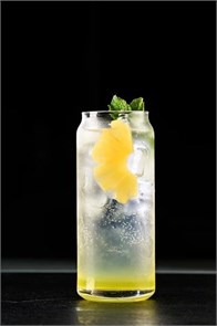 Ананас Алоэ 00744